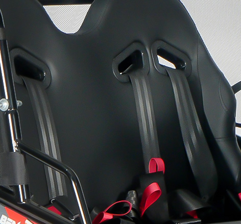 sportska sjedala s višetočkovnim pojasevima